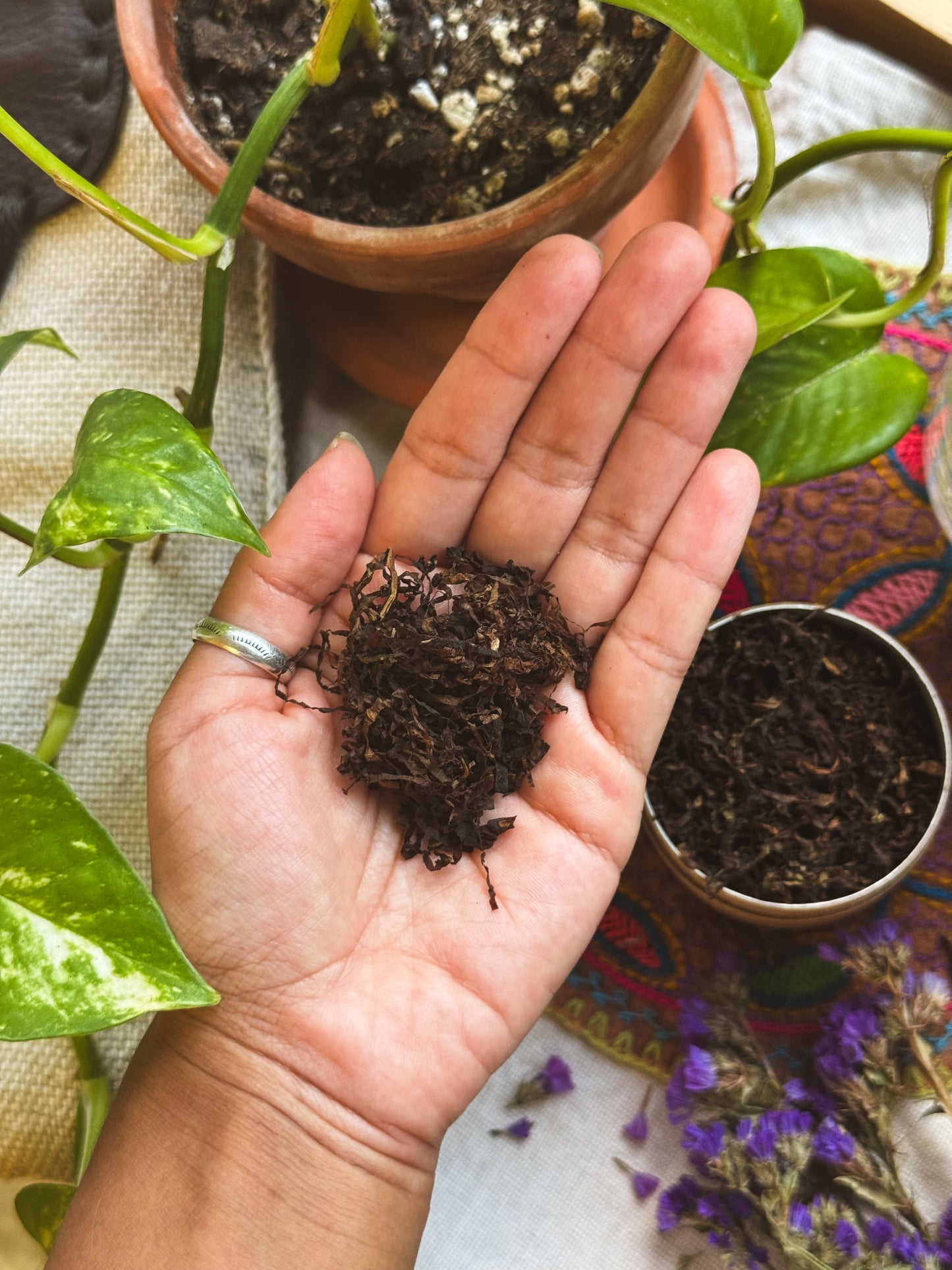 Loose Mapacho Leaves (for Land & Ancestor Offerings)