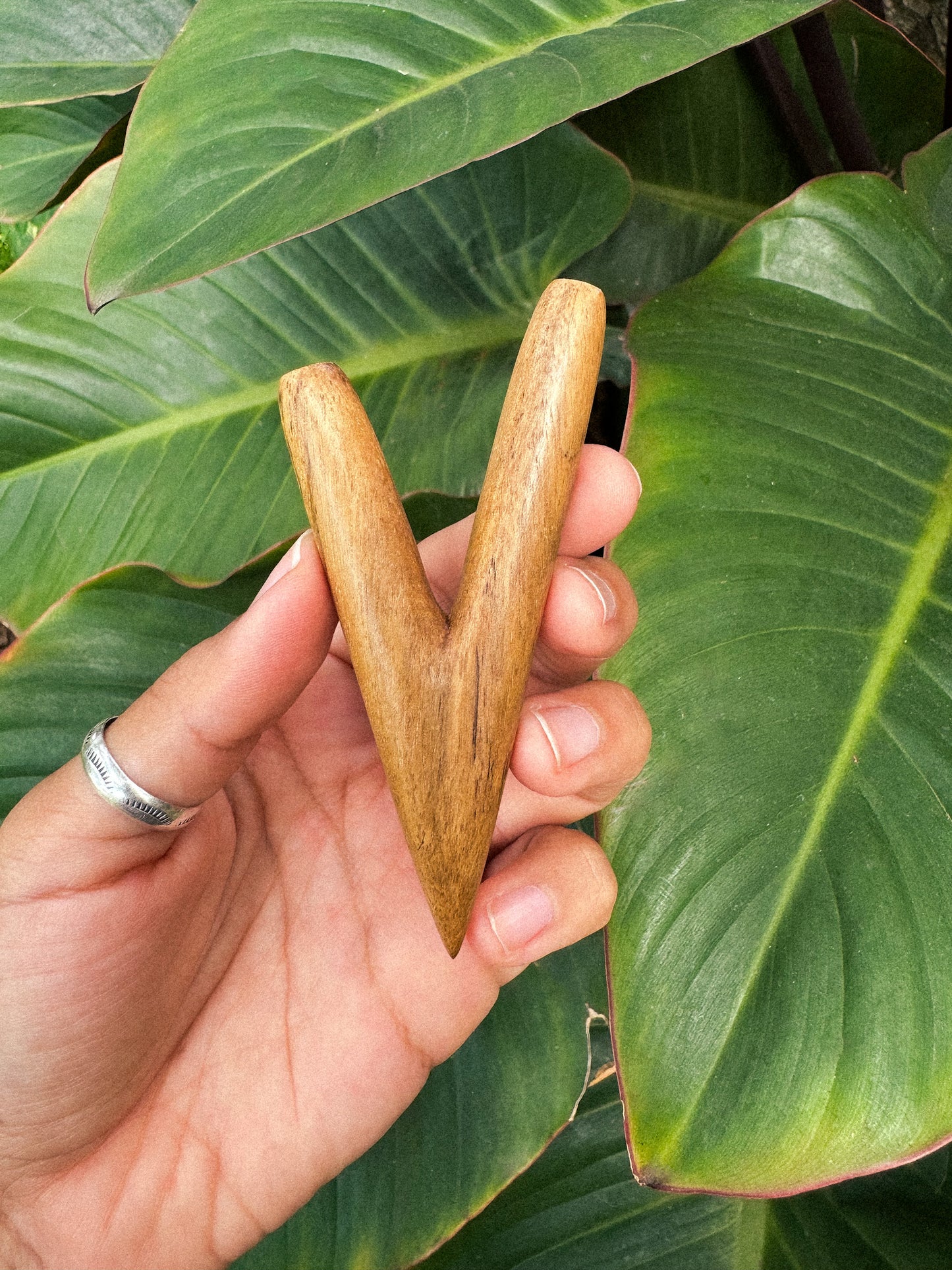 Agarwood Kuripe